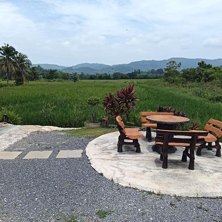 Damai D Homestay Кангар Екстер'єр фото